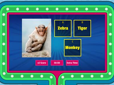 Jungle Animals 
