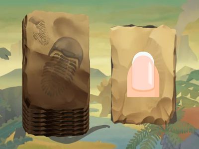 vocabulario vocales repaso