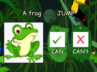 Actions + can y cant 