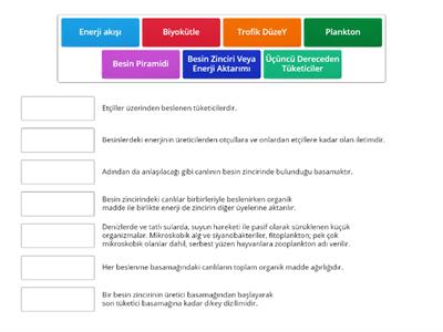 EKOSİSTEMDE MADDE VE ENERJİ AKIŞI