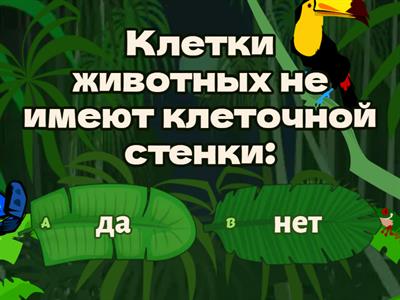 Биология , животные 6 класс