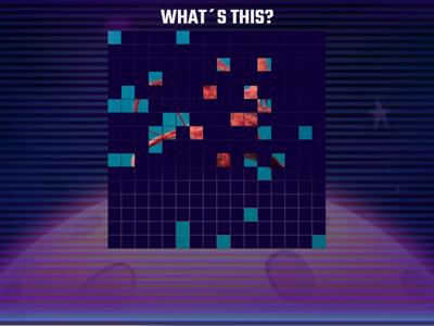 GRADE 2 - OCEAN ANIMALS