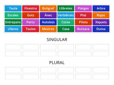 Singular i plural