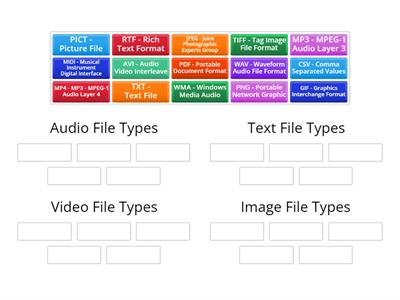 File Types 