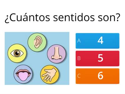 evaluación de los sentidos 