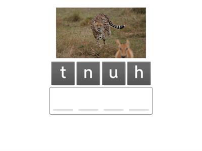 Starlight 4 7 knights and castles