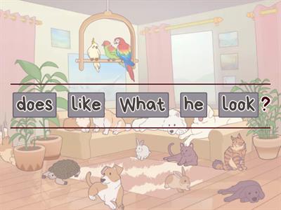 look like- making sentences