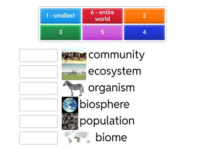 Levels of Organization
