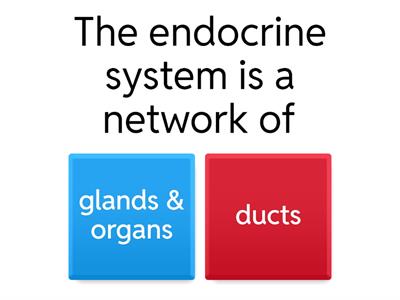 Endocrine System