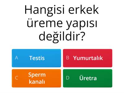 7. Sınıf Üreme Sistemi