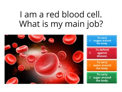  Specialised Cells Quiz1