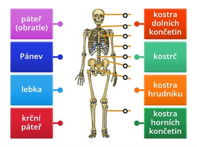  Kostra 3. ročník
