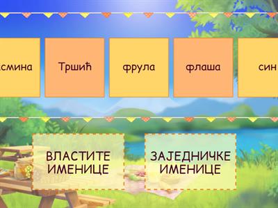 Властите и заједничке именице