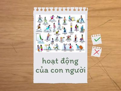  CHECKING NEW WORDS ( UNIT 5 -GRADE 11)