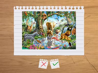 Wow3 Unit 3 Types of animals