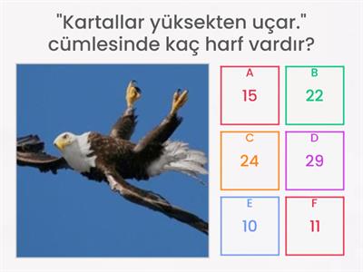 Harflerin sayılarını bulunuz.    