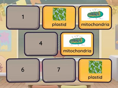 Жасушаның бөліктерін сәйкестендір