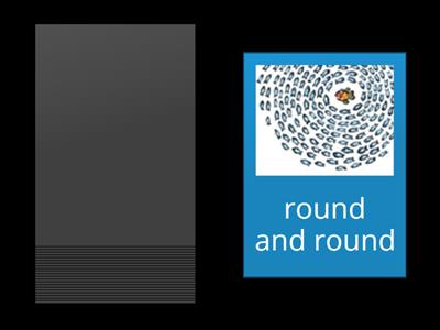 Hooray For Fish Flashcards