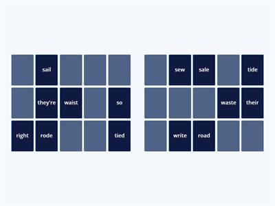 Elementary Homophones