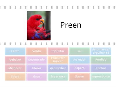 Teste Patrono - parte 1