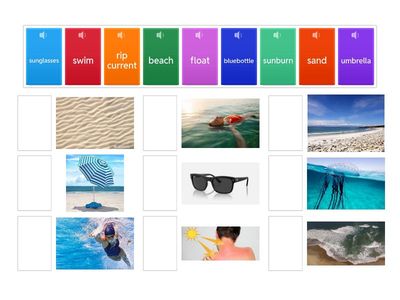 Beach safety revision