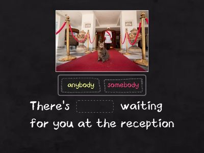 Indefinite pronouns SINTESIS SIS OCTAVO