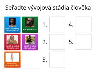 Vývoj člověka