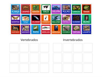 ANIMALES VERTEBRADOS E INVERTEBRADOS