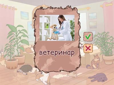 11. A New Pet https://www.eslfast.com/kidsenglish/ke/ke011.htm