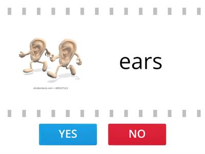 Smiles2-Module5: Head (true/false)