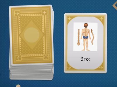 Скелет человека