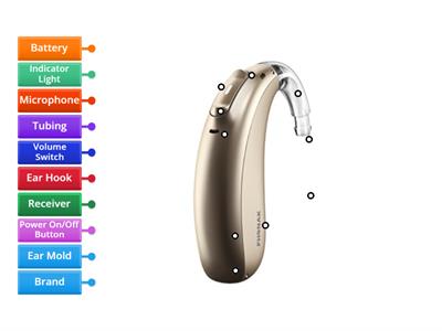 Parts of a Hearing Aid (Marvel)