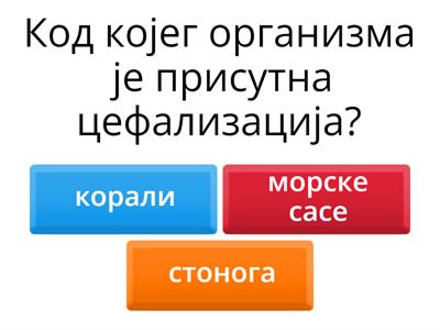 Јединство грађе и функције као основа живота (систематизација 1)