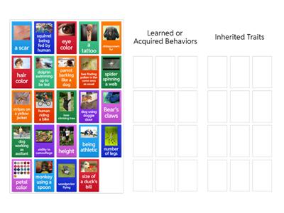 Inherited Traits vs. Learned Behaviors