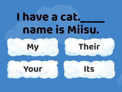 Possessive adjectives