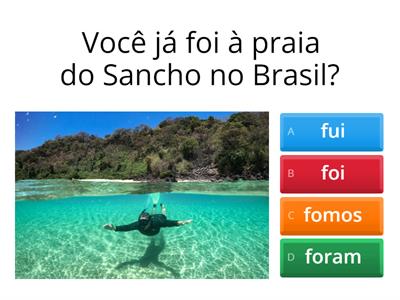 Questionário Pretérito Perfeito Simples