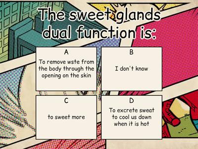 The sweet glands, parts of the excretory system,ciculatory system parts and respiratory system parts