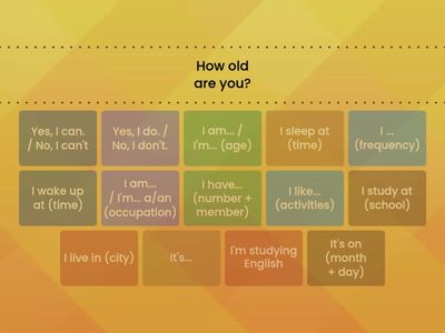 Match the questions and answers