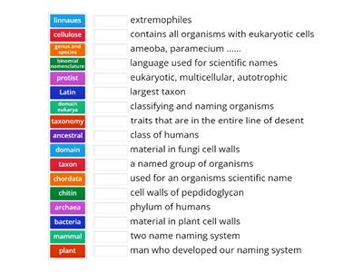 classification