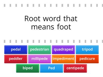 Read around Review-Ped