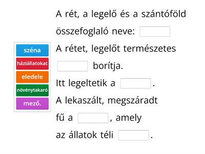 A mező