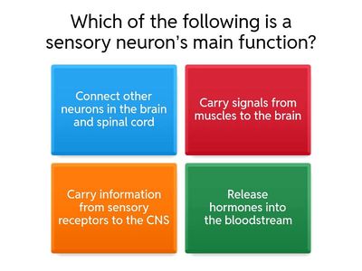 Nervous system and Synapse