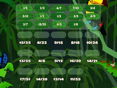 Simplifying Fractions