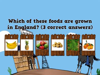 Farm to Fork Quiz