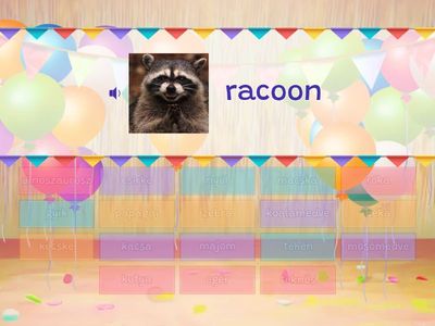 Animals (young stars 2/6)