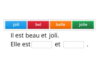 Le féminin des adjectifs 