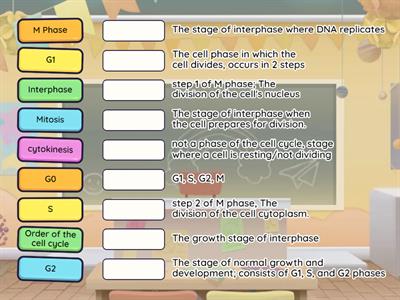Cell Cycle Review