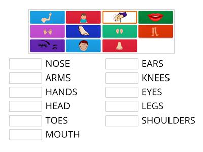 TIPTOES 1_UNIT 7_LESSON 3_HEAD AND SHOULDERS