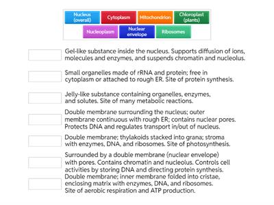 Structures and functions of parts of a eukaryotic cell 