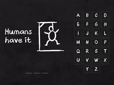 Look 2 - Look and Remember